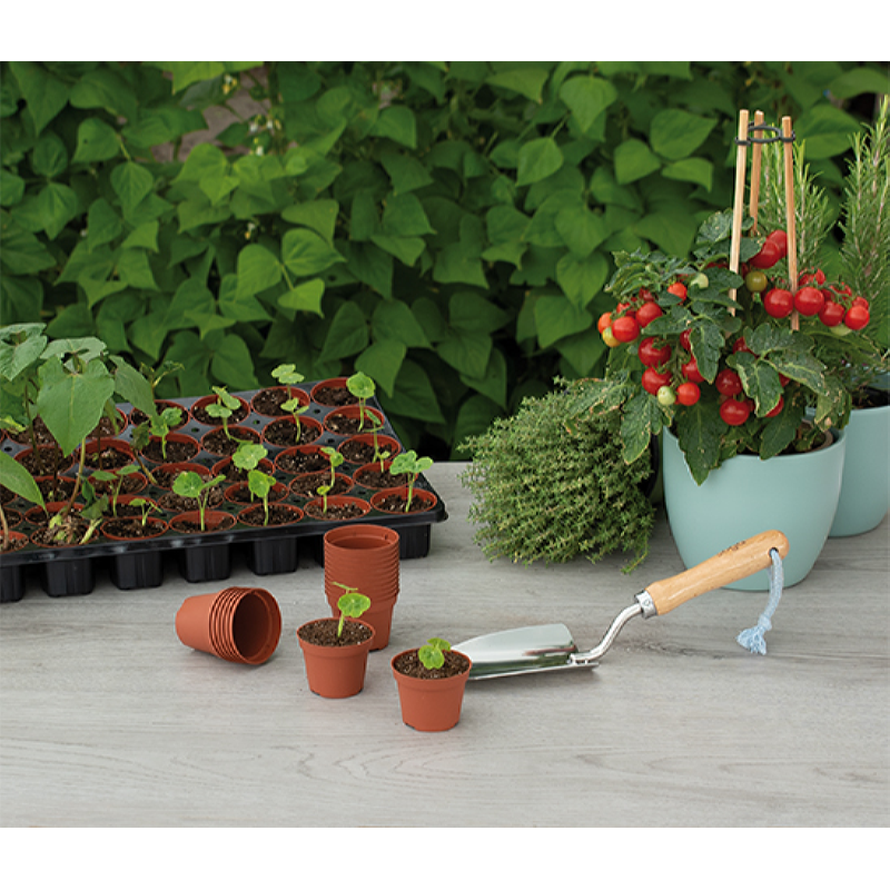 Pots en plastique - Ø 6 cm - 30 pièces