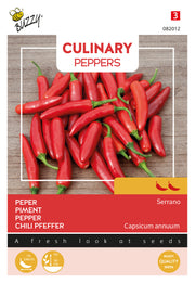 Forró hagyományos mexikói paprika