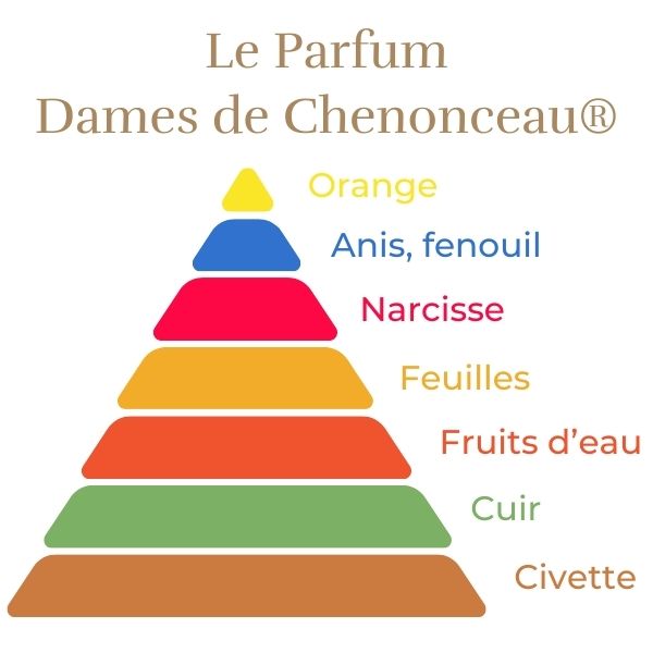 Floribunda Rose - Dames de Chenonceau®-8