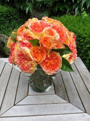 Theehybride Roos - Henri Delbard®