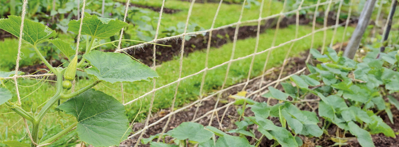Jute Trellis Netting-2