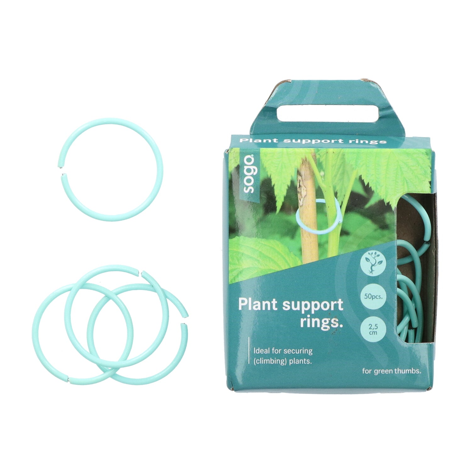 Plant Rings - 50 pcs-1