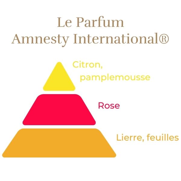 Climbing Rose - Amnesty International®