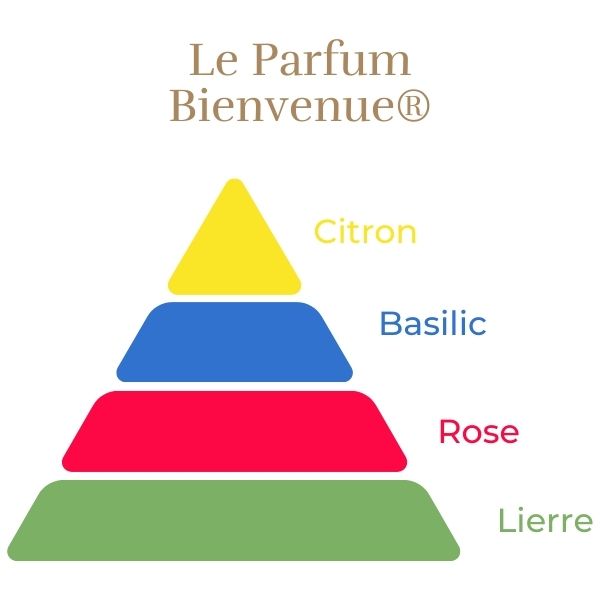 Floribunda Rose - Bienvenue®