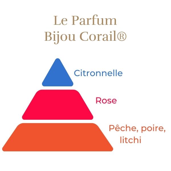 Floribunda Rose - Bijou Corail®