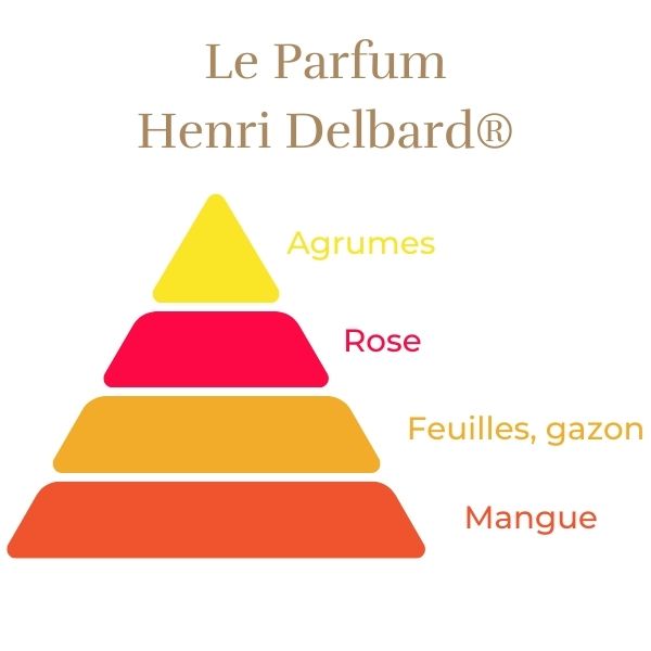 Theehybride Roos - Henri Delbard®