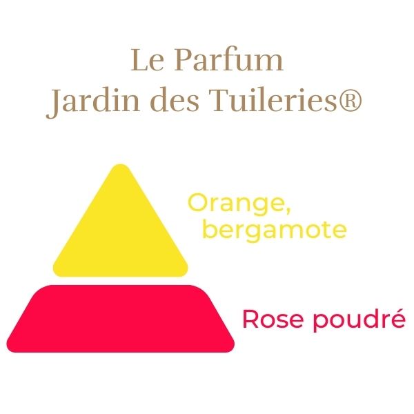 Floribunda Rose - Jardin des Tuileries®