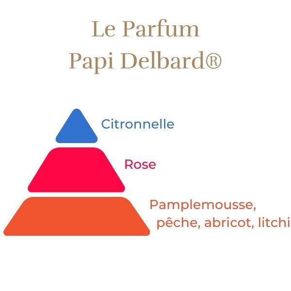 Climbing Rose - Papi Delbard®