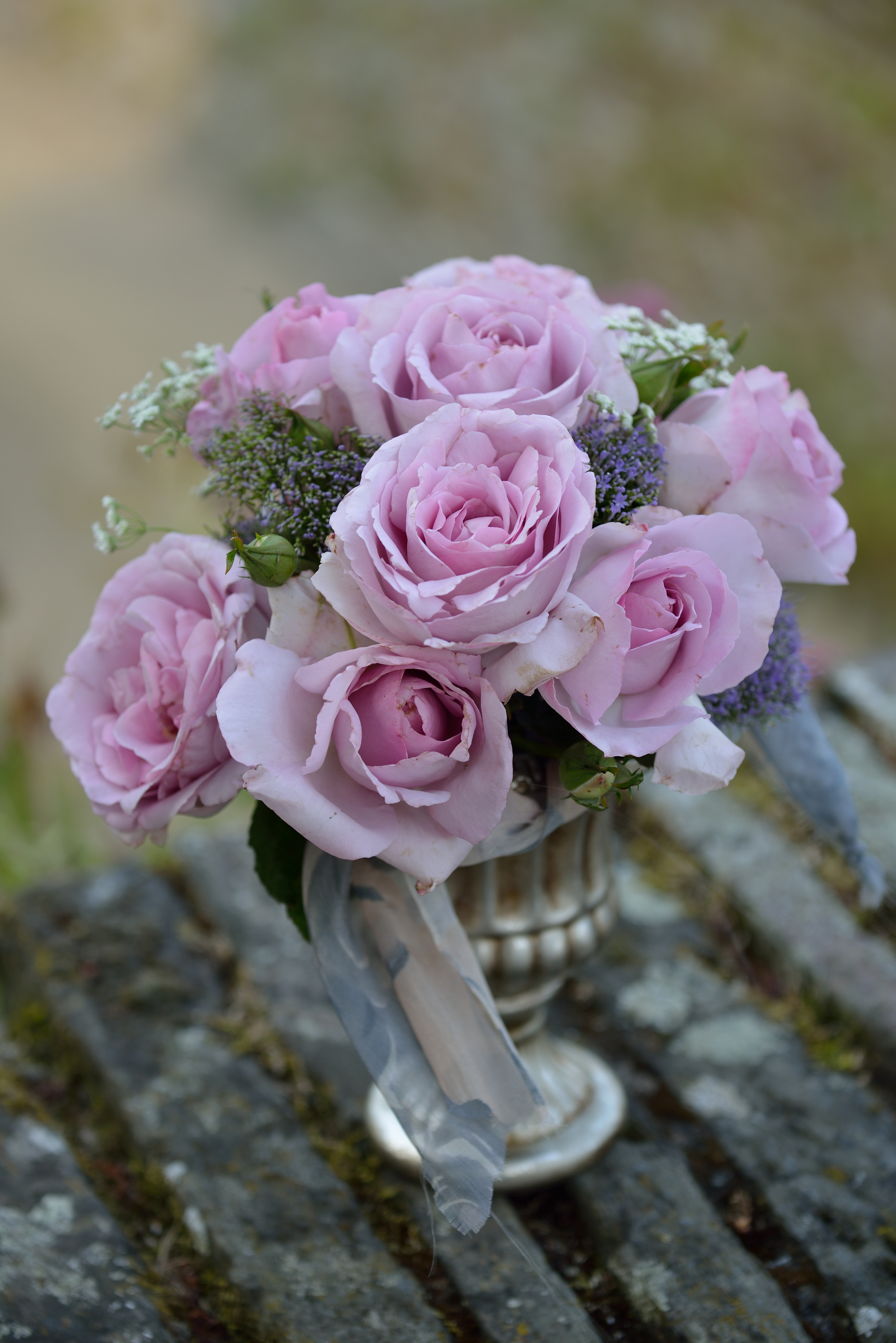 Floribunda Rose - Synactif by Shiseido®