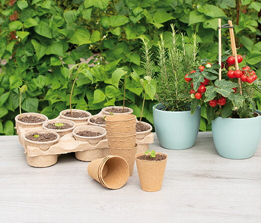 Round Organic Pots - 8 cm - 10 pcs-2