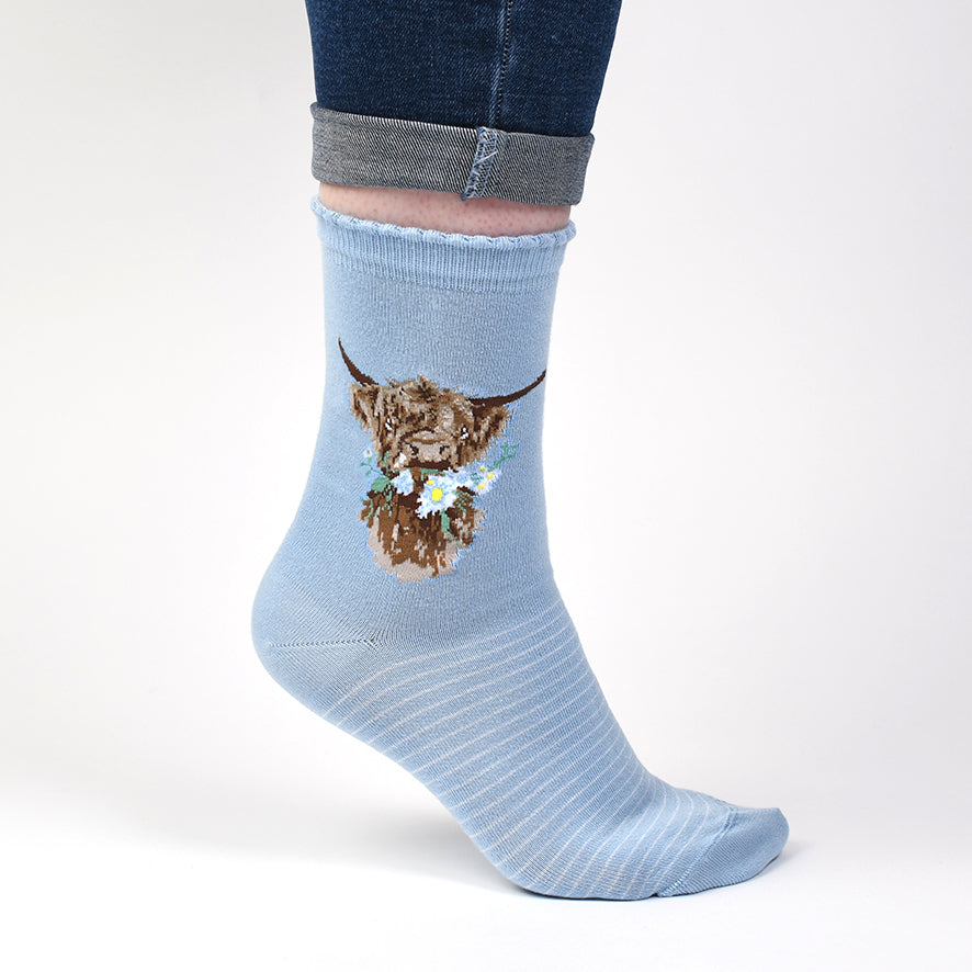 Women's Socks - Highland Cow - Daisy Coo