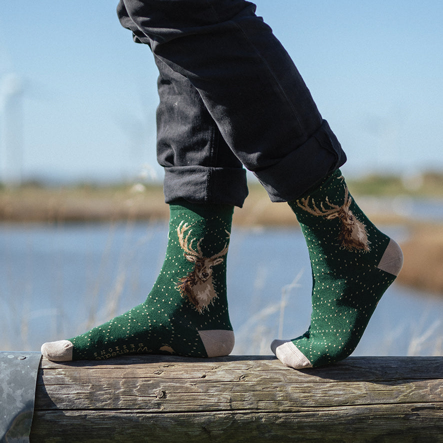Men's Socks - Stag - Portrait of a Stag
