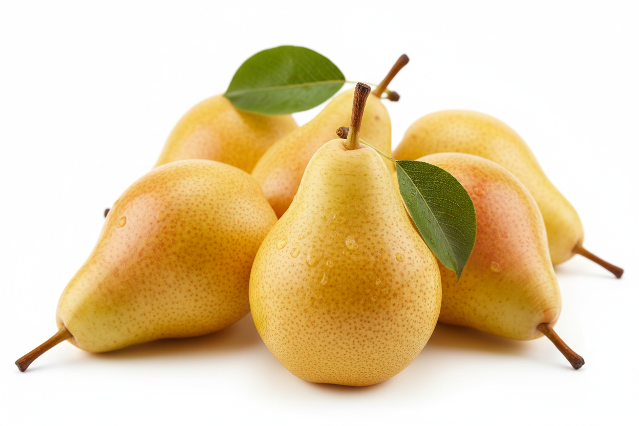 Semi Dwarf Pear Tree – ‘Saint Rémy’-2