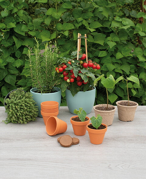 Terracotta Pots - 7/8 cm - 7 pcs-2