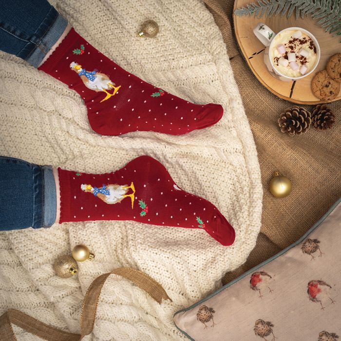 Women's Socks - Duck - Christmas Scarves-2