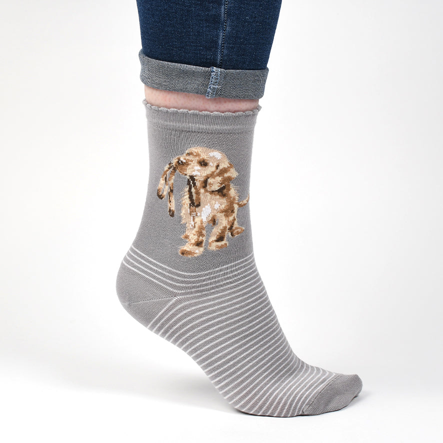 Women's Socks - Labrador - Hopeful-2