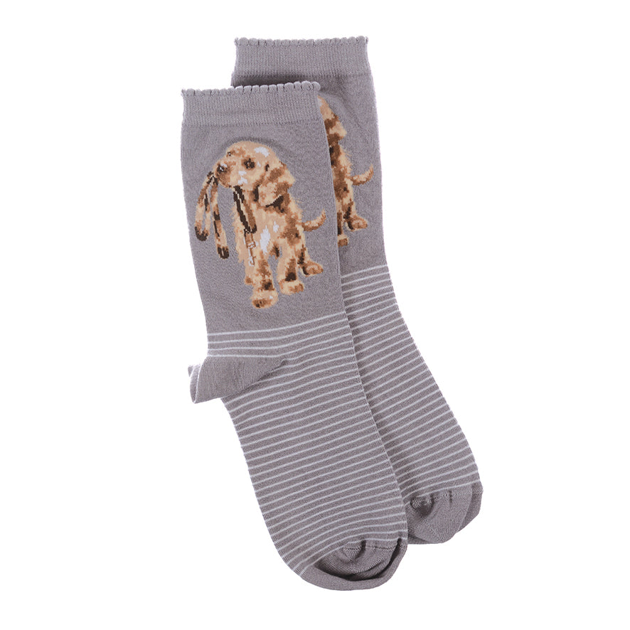 Women's Socks - Labrador - Hopeful-4