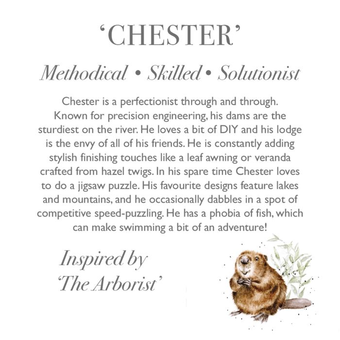 Chester – Hód plüss