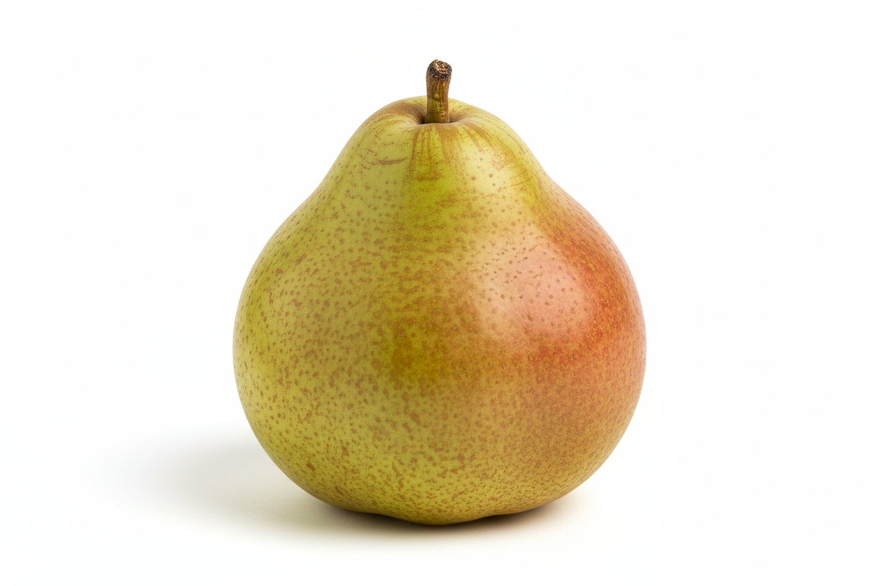Semi Dwarf Pear Tree – ‘Doyenné du Comice’