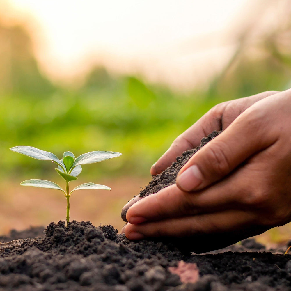 <strong>Soil, Fertilizers & Plant Care</strong>