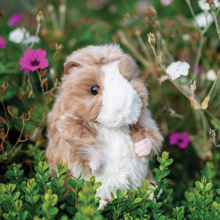 Daphne - Guinea Pig Plush