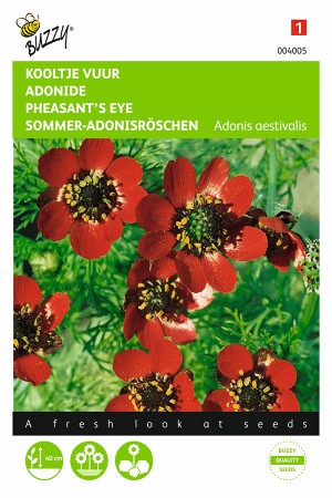 Pheasant's Eye - Red Flowering - 2g