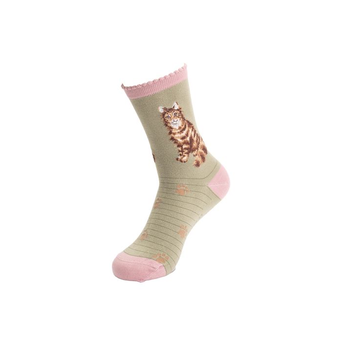 Női zokni – Macska – Feline Fabulous