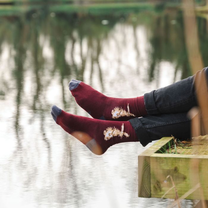 Men's Socks - Hare - The Hare