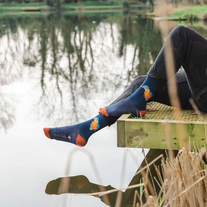 Férfi Zokni – Jégmadár – The Kingfisher