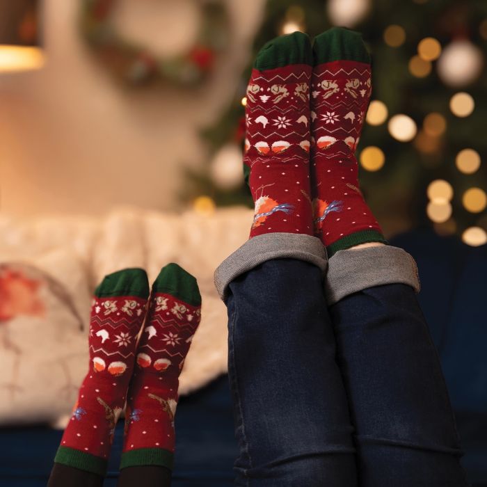 Men's Socks - Robin - A Little Red Robin