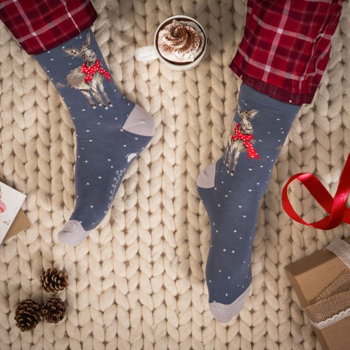 Men's Socks - Donkey - All Wrapped Up