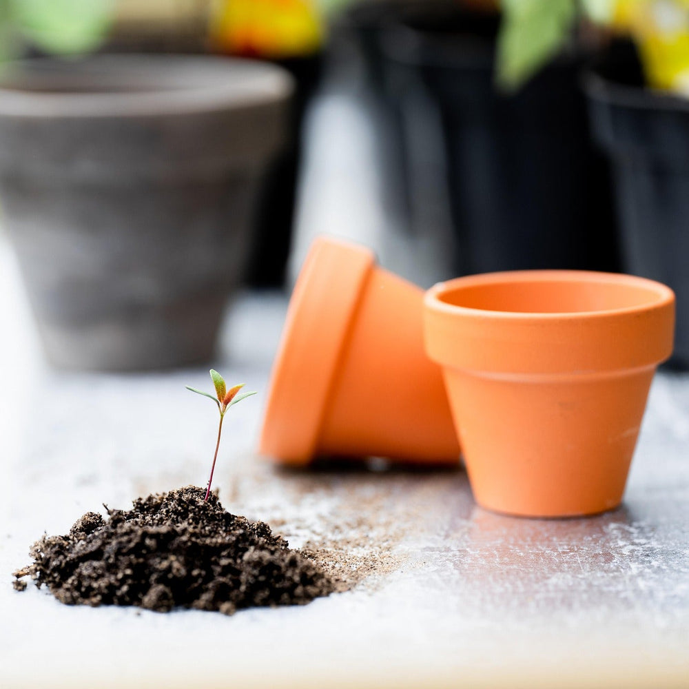 <strong>Pots, Containers & Growing Systems</strong>