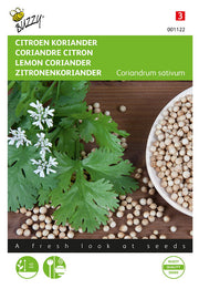 Lemon Coriander - 2g