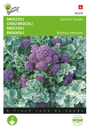Brocoli - Violet d'été - 0,25g