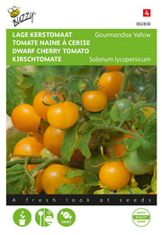 Zwerch-Kirschtomate - Gelbe Gourmandise - 10 Samen