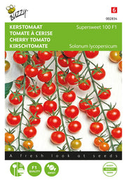 Kirschtomate - Supersweet 100 F1 - 0,2g
