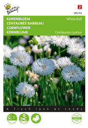 Centaurea cyanus - Boule blanche - 1g