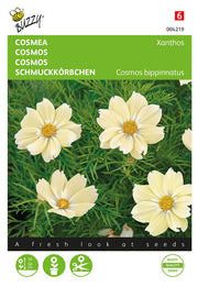 Kerti Pillangóvirág - Xanthos - 10 Szem
