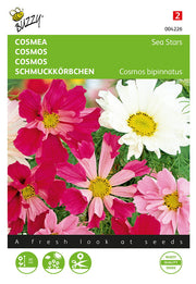 Cosmos - Seesterne - 0,5g