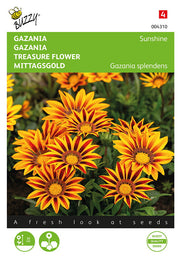 Gazanija - Sunshine - 0,25g