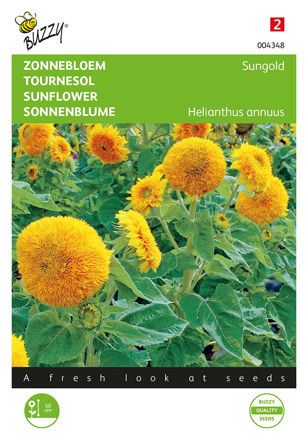 Sunflower - Dwarf - Sungold - 2g