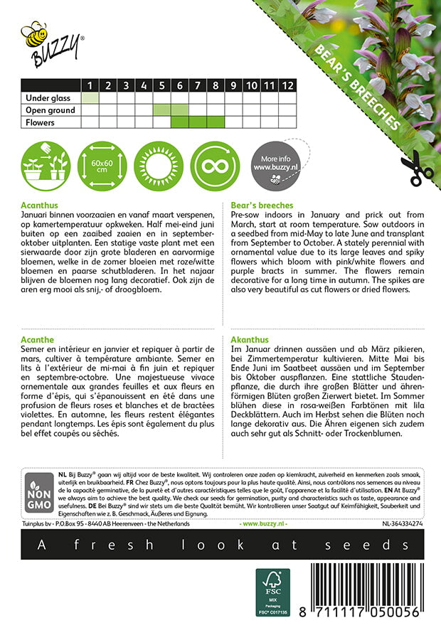 Bear's Breeches - 2g