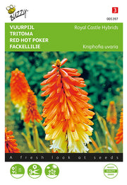 Red Hot Poker - Hybrides Royal Castle - 0,75g