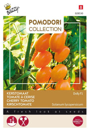 Kirschtomate - Dolly F1 - 7 Samen