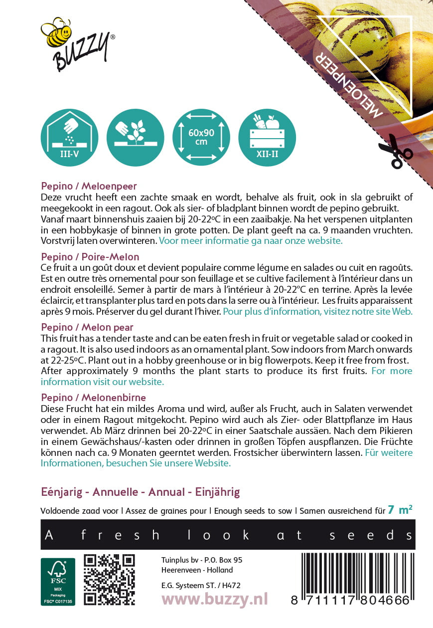 Pepino - Melon Pear - 15 Seeds