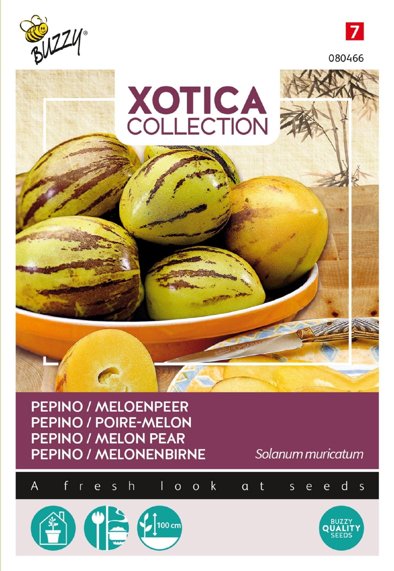 Pepino - Melon Pear - 15 Seeds