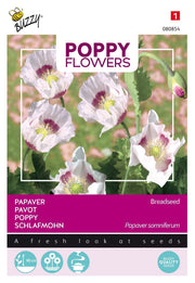 Pavot - Pavot de pain - 1g
