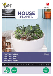 Succulentes - Mélange - 7 Graines