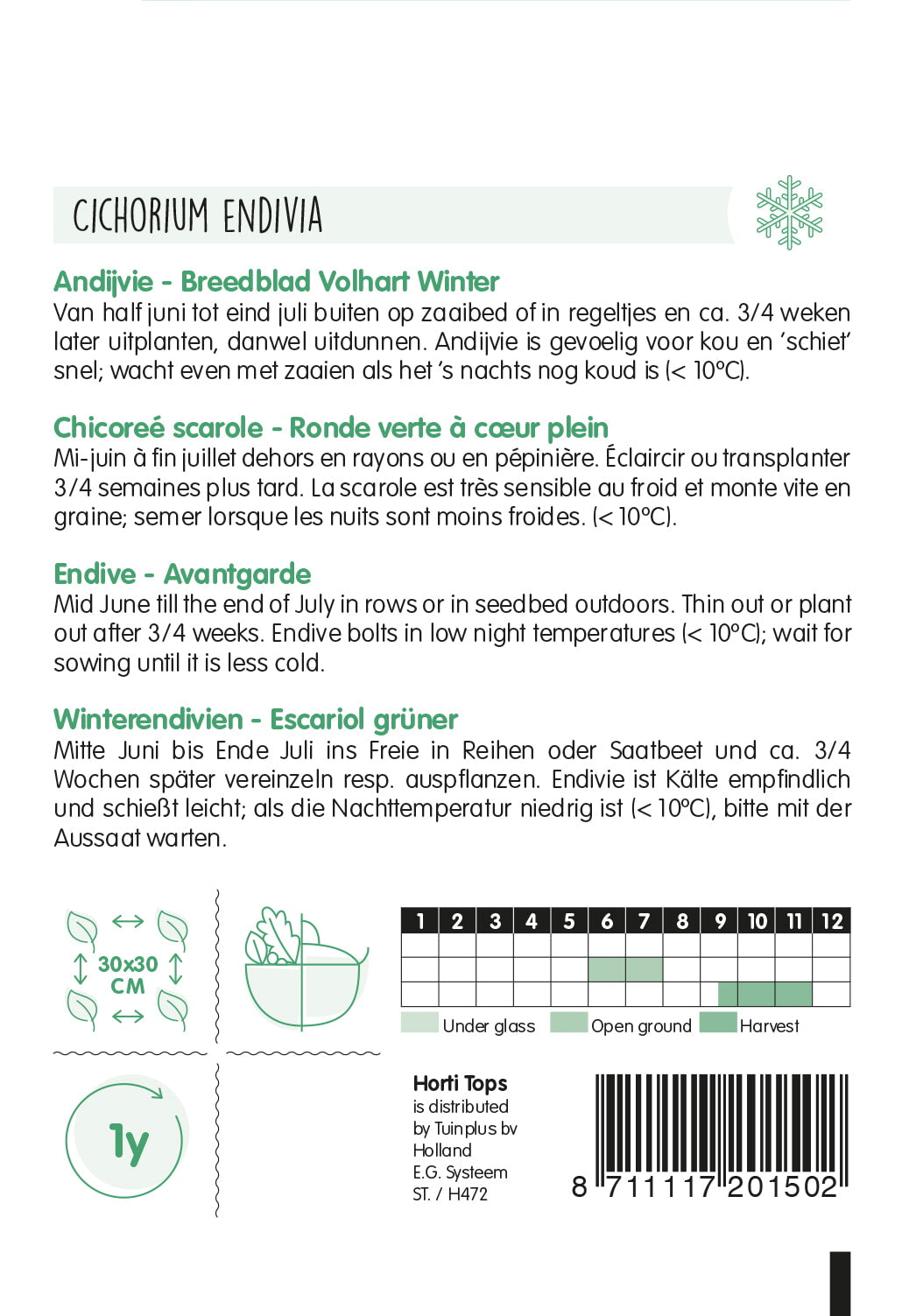 Endive - Breedblad Volhart Winter - 3g