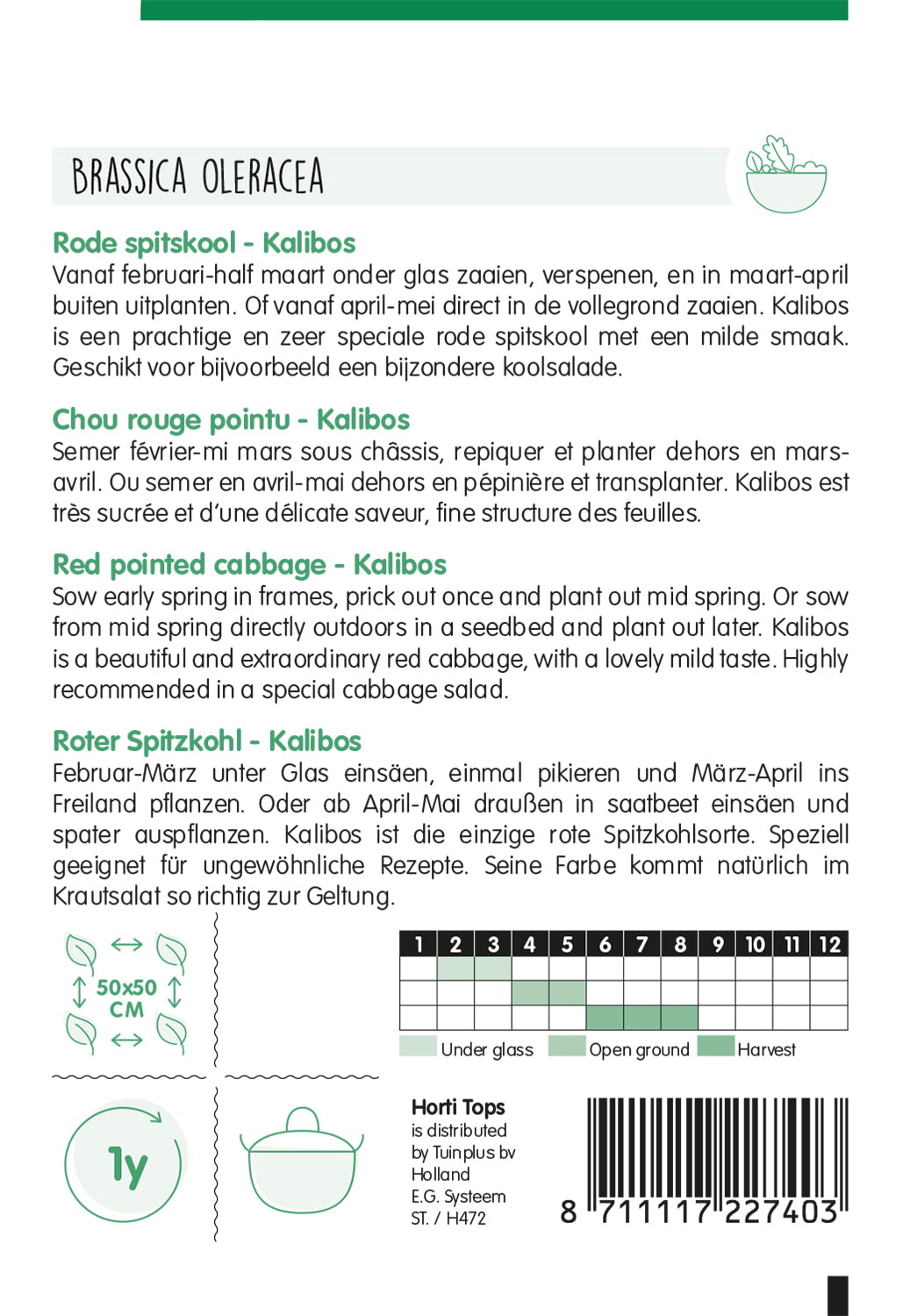 Chou rouge pointu - Kalibos - 1g